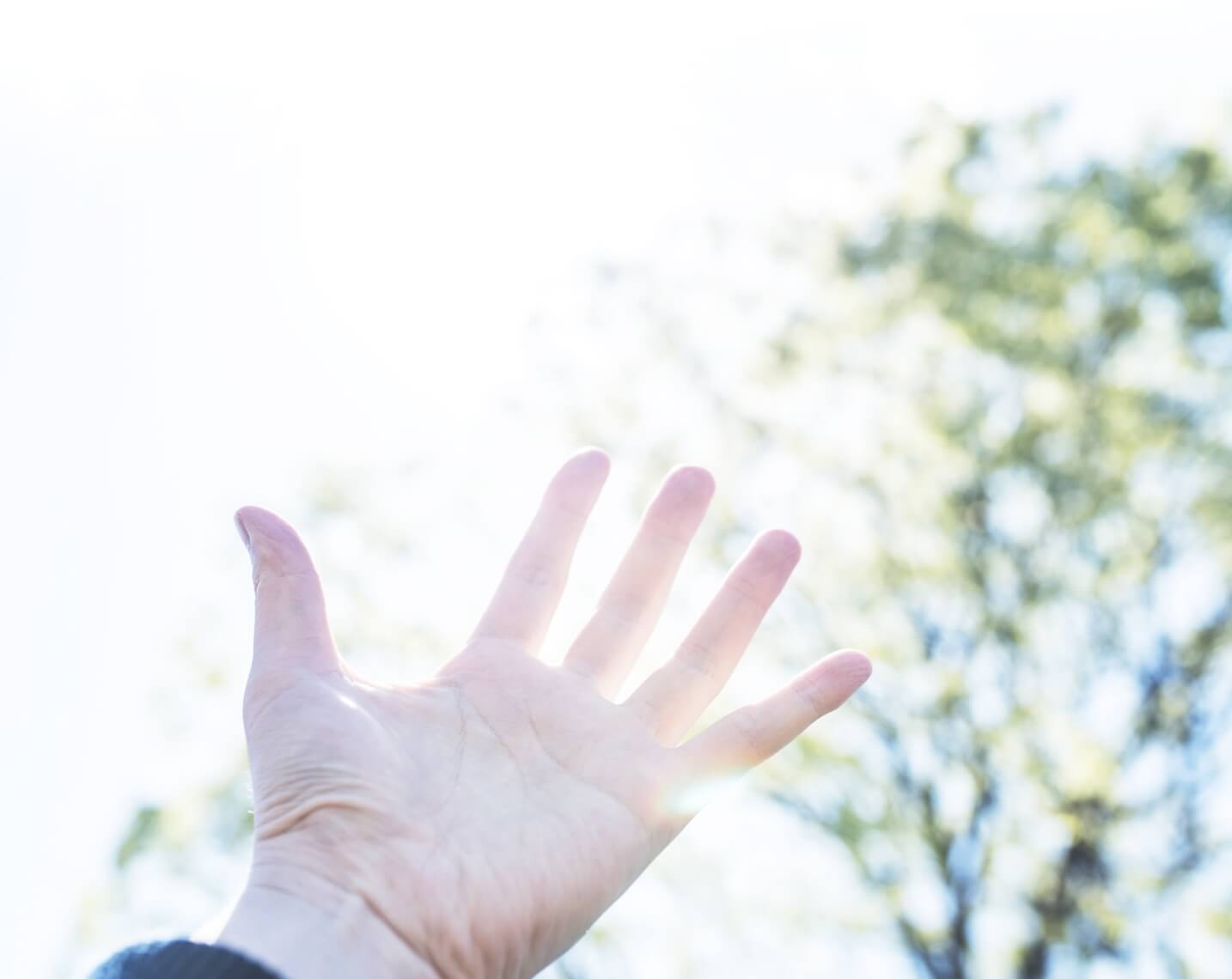 サイトイメージ